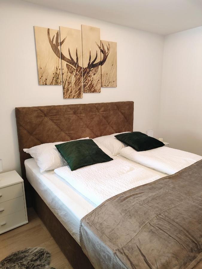 Modern Mountain Apartment - Free Parking & Sauna Obertauern Luaran gambar